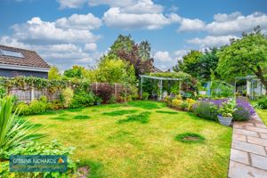 Photo 4- click for photo gallery